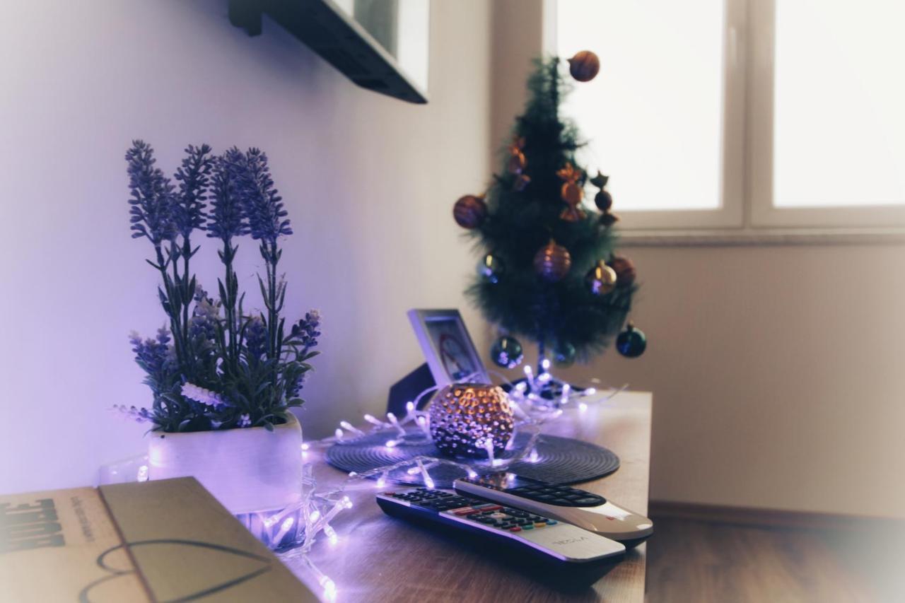 Apartman Srdjan بانيا لوكا المظهر الخارجي الصورة